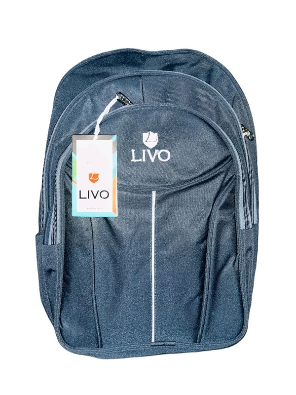 Livo PBH P080 18*14*7 Heavy Backpack - Silver, 18*14*7