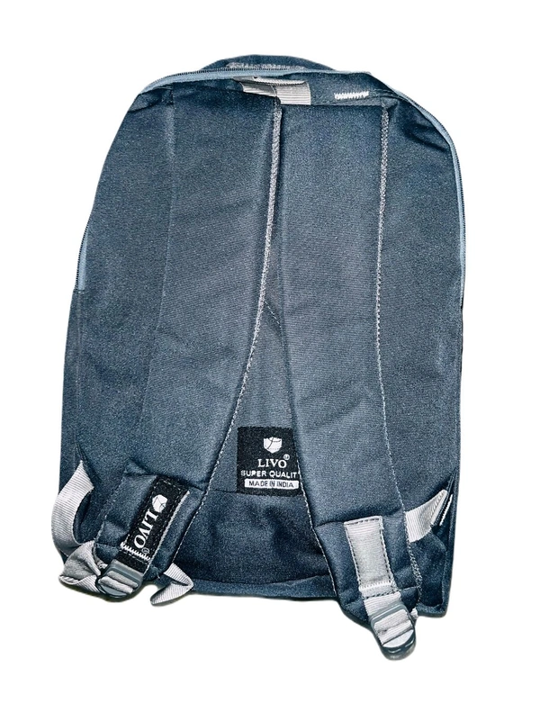 Livo PBH P080 18*14*7 Heavy Backpack - Silver, 18*14*7