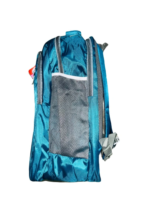 Safari Pbh P088 Laptop Backpack - Pelorous, 18*14*6