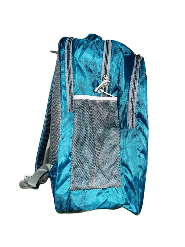 Safari Pbh P088 Laptop Backpack - Pelorous, 18*14*6