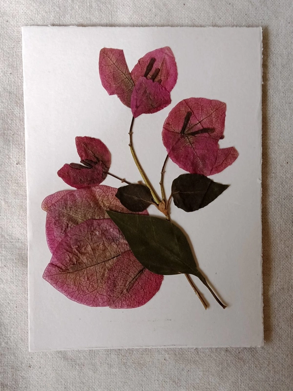 Dry Flowers Art Greeting Card - 4