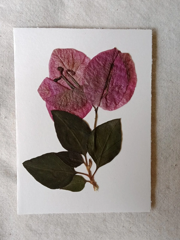 Dry Flowers Art Greeting Card - 3