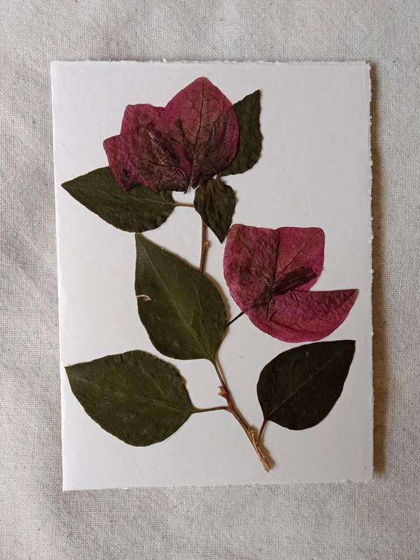 Dry Flowers Art Greeting Card - 2