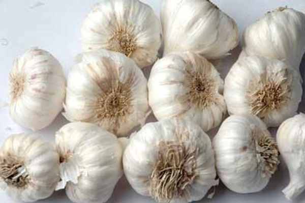 Garlic (Indian) : 100gm