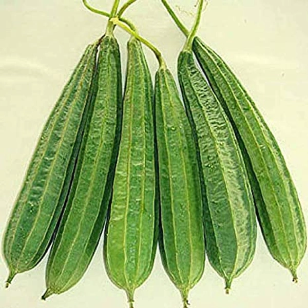 Ridge Gourd(Jhinge) ,400-500g