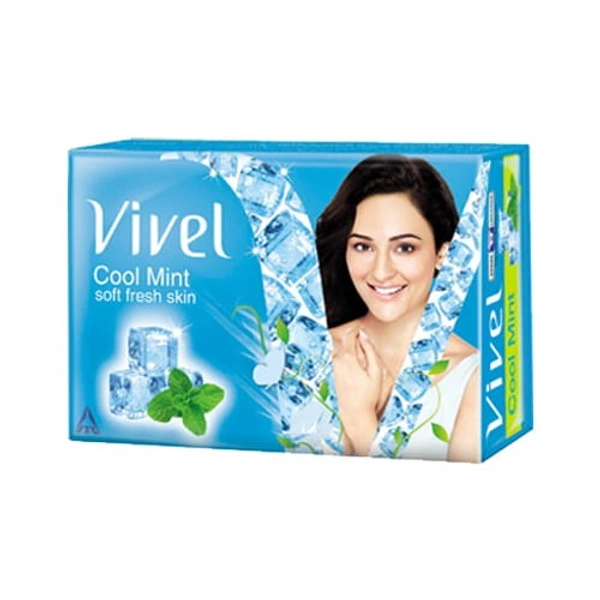 Vivel Cool Mint,48g
