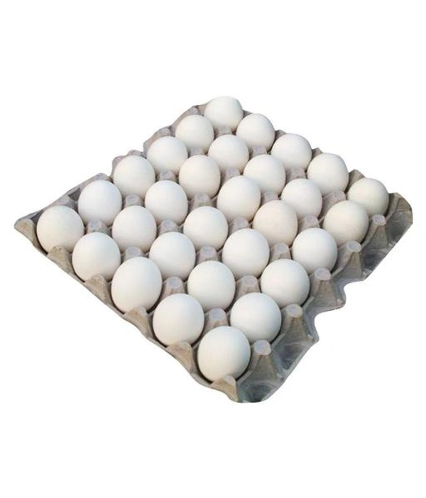 Egg,15 Pcs
