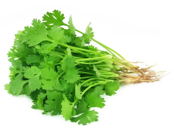 Coriander,100g