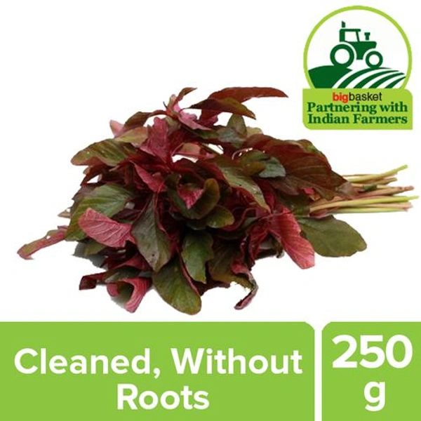 Amaranthus Red,1 Units