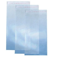 Anju Plastic  Bopp Pouch 