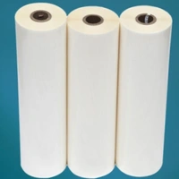 Anju Plastic  24 Inch Lamination Roll