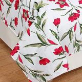 Polycotton Printed Double Bedsheet With 2 Pillow Covers
