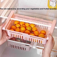 Expandable Hanging Fridge Tray, Refrigerator Food Storage Organizer - Set of 2 - Length - 16 to 24 cm (Expandable) x Width - 16 cm x Height - 6 cm, Multi Color, High Quality Plastic