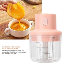 Electric Garlic Crusher Machine 250 ml - 20 x 20 x 20 cm, Multi Color