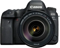 Canon EOS 6D Mark II DSLR Camera Body with Single Lens: EF24-105mm f/4L IS II USMEffective Pixels: 26.2 MPSensor Type: CMOS1080p at 60p + Time-Lapse7 Days Replacement Policy, No questions asked.Hurry, Only 1 left! - Black, standered