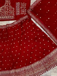 Stylolook Online Payment 🌹 VIP Lehanga Cholli - Red, Free