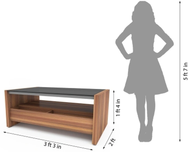 Charmlook Studio Kook Jazz Compact Glass Coffee TableFinish Color: Junglewood, Sleeperwood, WalnutParticle BoardMetalW x H x D: 98 cm x 45 cm x 60 cm (3 ft 2 in x 1 ft 5 in x 1 ft 11 in)Storage IncludedPre Assembled (Ready to Use)10 Days Replacement Policy, No questions asked.Hurry, Only a few left! - Brown, king