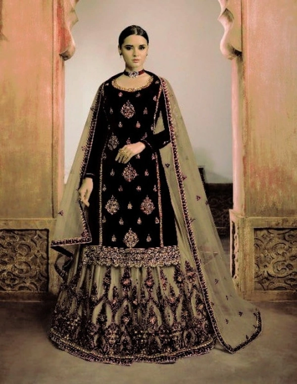 Charmlook Ladies VIP Pakistani Suit - Multicolour, semi stitched Free Full size