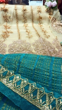 Charmlook Ladies Peacock Designer Pakistani Suit - Multicolour, As in Description