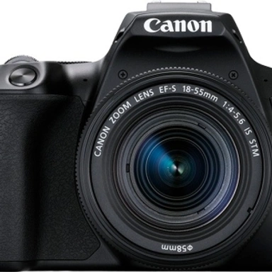Cameras DSLR