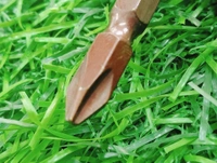 Bite Star