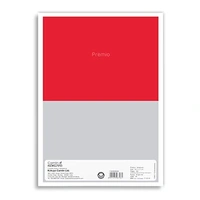 Camlin Premio Single Line 300 pages Notebook pack of 2 - 300 pages