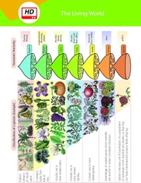 MTG Objective NCERT at your FINGERTIPS Biology - NCERT NEET Trend Indicator Notes with HD Pages Exam Archive & MCQs | NEET Books (Based on NCERT Latest Pattern For 2025 Exam) [Paperback] MTG Editorial Board