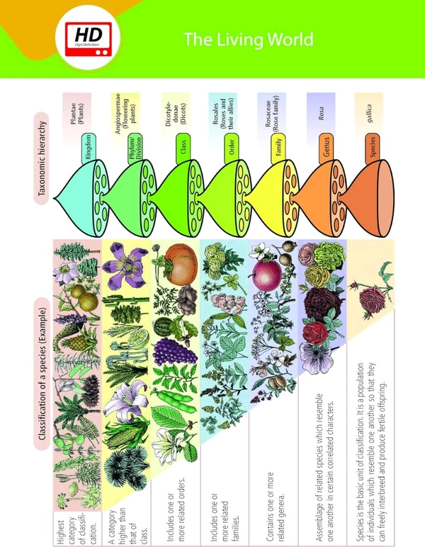 MTG Objective NCERT at your FINGERTIPS Biology - NCERT NEET Trend Indicator Notes with HD Pages Exam Archive & MCQs | NEET Books (Based on NCERT Latest Pattern For 2025 Exam) [Paperback] MTG Editorial Board