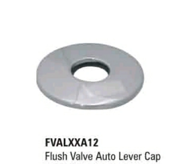 CP Plate