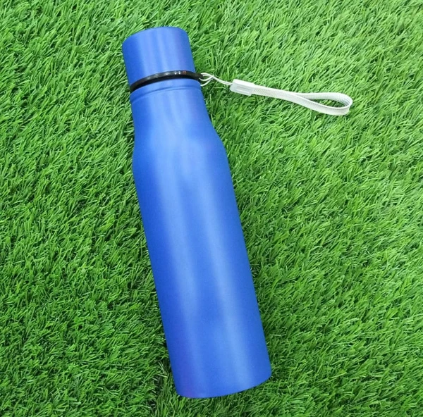 Single Layer Metal Bottle - Blue