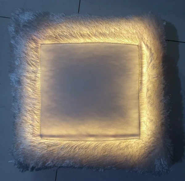 Single LED Fur Pillow - Square Shape