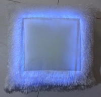 Multi LED Fur Pillow - Square Shape - Regular Price