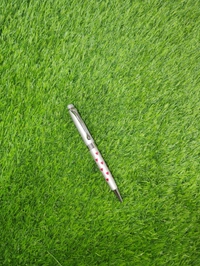 Metal Pen