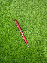 Metal Pen