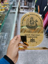 Clear and Golden acrylic Trophy
