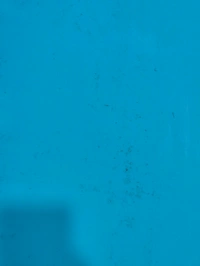 Sky Blue Solid Vinyl