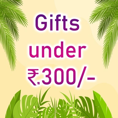 Gifts under 300