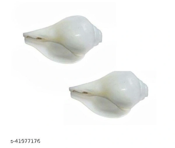 White Shankh - Free Home Delivery , white , set of 2