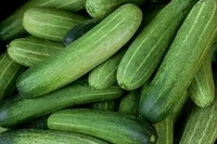 Cucumber/खीरा,ककड़ी - Free shipping , 1kg