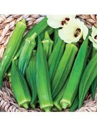 Ledy Finger/भिंडी - Free shipping , 1kg