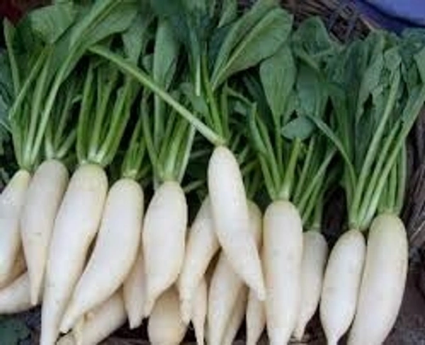 Radish /मूली - Free shipping , 1kg