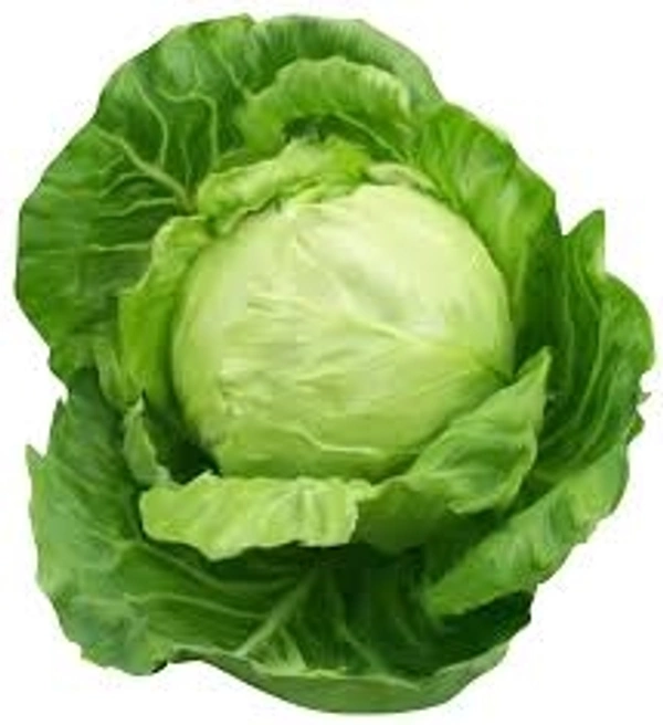 Cabbage/पत्तागोभी - Free shipping , 500g