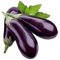 Began - Free shipping , 500g