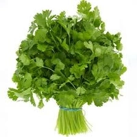 Coriander /धनिया - Free shipping , 100g