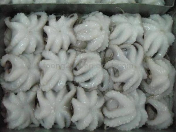 BABY OCTOPUS - 1 KG