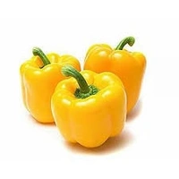 Capsicum Yellow - 250g, Order 1 Day Before