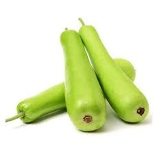 Bottle Gourd - Lauki - 1pcs