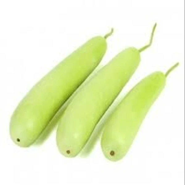 Bottle Gourd - Lauki - 1pcs