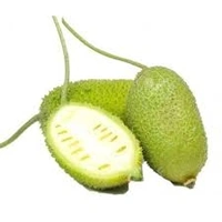 Spine Gourd/Kakrol - 250g