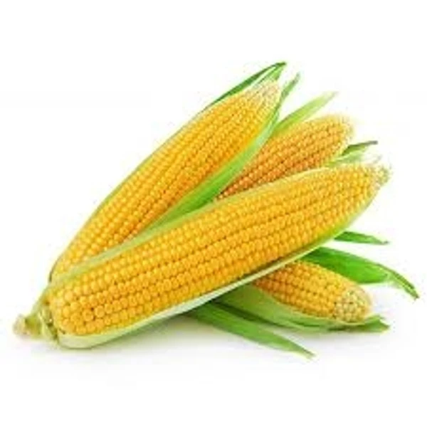 Sweet Corn - 2pcs